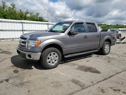Vehiculos salvage en venta de Copart West Mifflin, PA: 2014 Ford F150 Supercrew