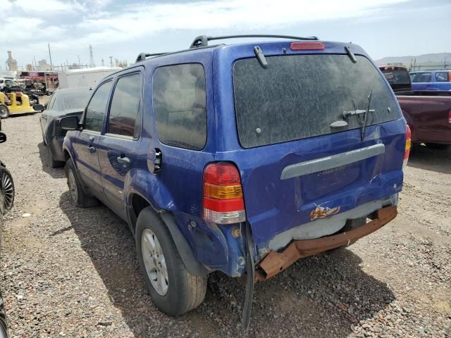 2005 Ford Escape XLT