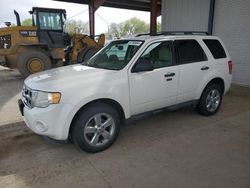 2011 Ford Escape XLT en venta en Billings, MT