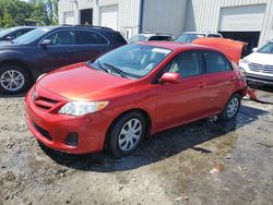 Toyota Corolla salvage cars for sale: 2011 Toyota Corolla Base