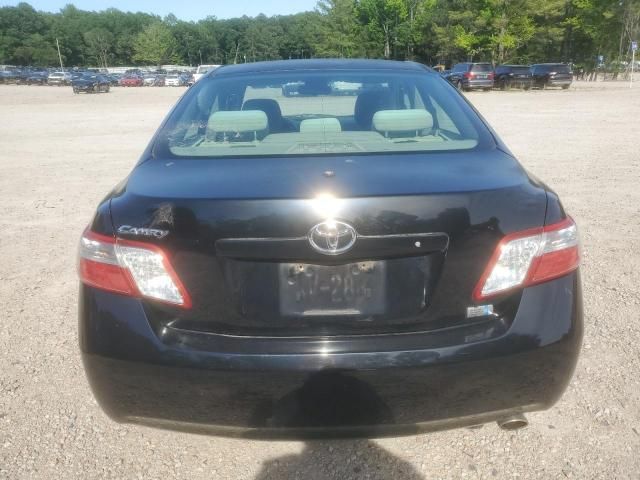 2009 Toyota Camry Hybrid