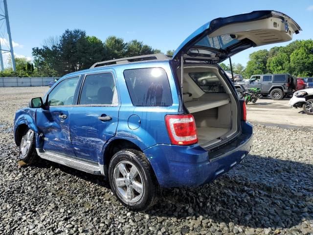 2008 Ford Escape XLT