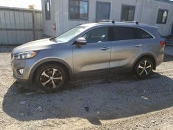 Salvage cars for sale from Copart Los Angeles, CA: 2017 KIA Sorento EX