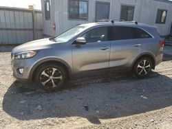 KIA Sorento salvage cars for sale: 2017 KIA Sorento EX