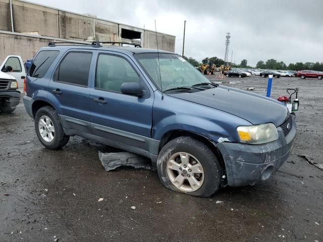 2005 Ford Escape XLT