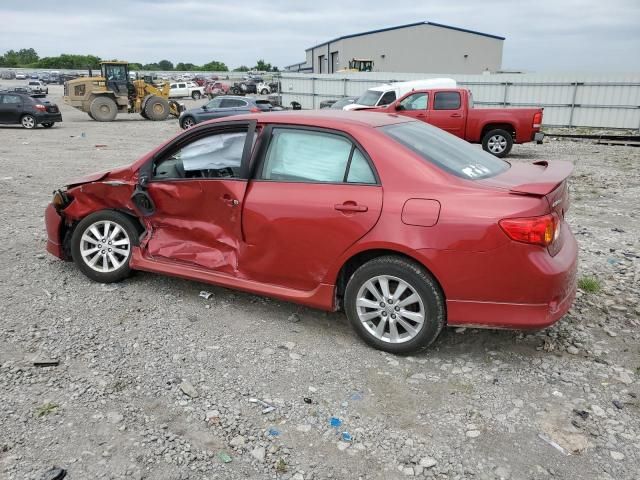 2010 Toyota Corolla Base