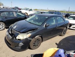 Toyota Corolla salvage cars for sale: 2009 Toyota Corolla Base