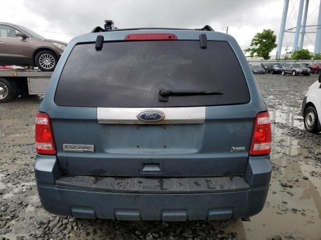 2010 Ford Escape Limited