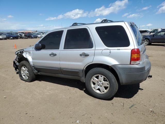 2007 Ford Escape XLT