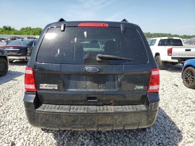 2010 Ford Escape XLT