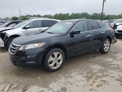 Honda Crosstour salvage cars for sale: 2012 Honda Crosstour EXL