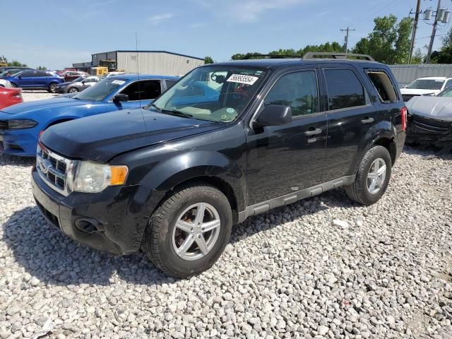 2010 Ford Escape XLT