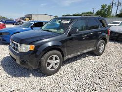 Ford Escape Vehiculos salvage en venta: 2010 Ford Escape XLT