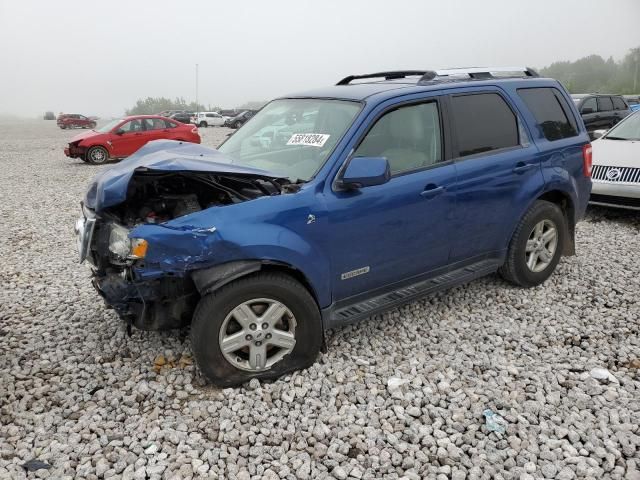 2008 Ford Escape HEV