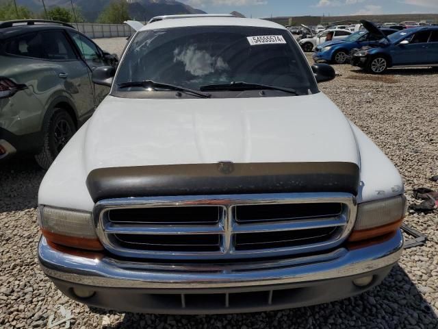 2000 Dodge Dakota