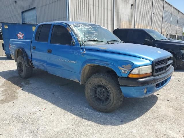 2000 Dodge Dakota Quattro