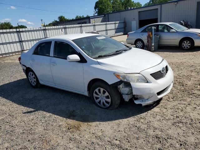 2010 Toyota Corolla Base