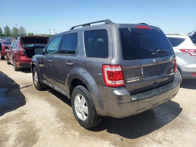 2011 Ford Escape XLT