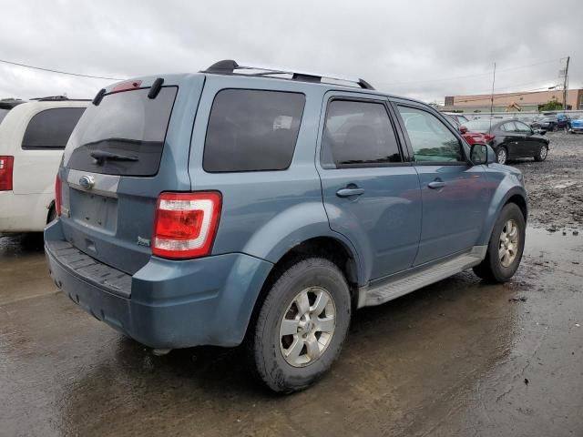 2010 Ford Escape Limited