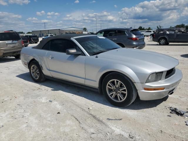 2005 Ford Mustang