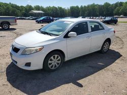 Toyota Corolla salvage cars for sale: 2009 Toyota Corolla Base