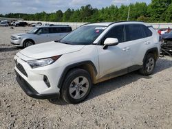 Salvage cars for sale from Copart Memphis, TN: 2019 Toyota Rav4 XLE