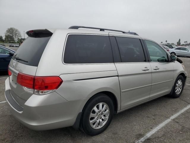 2008 Honda Odyssey EXL