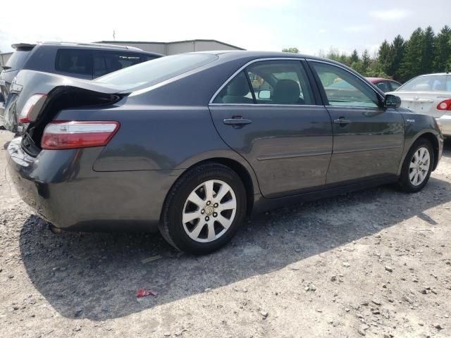 2009 Toyota Camry Hybrid