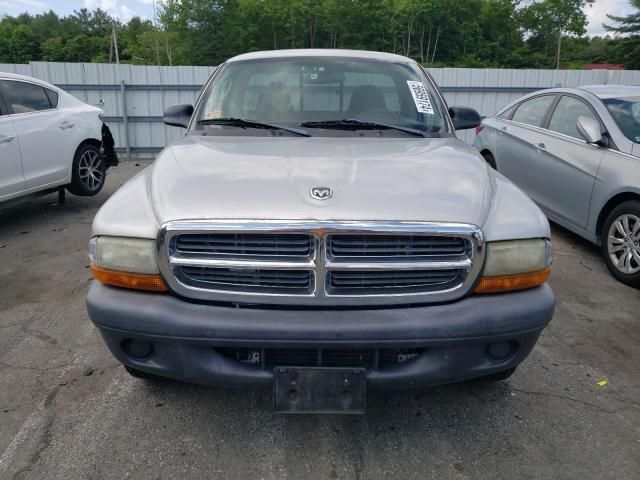 2004 Dodge Dakota SXT