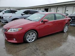 Lexus salvage cars for sale: 2013 Lexus ES 350