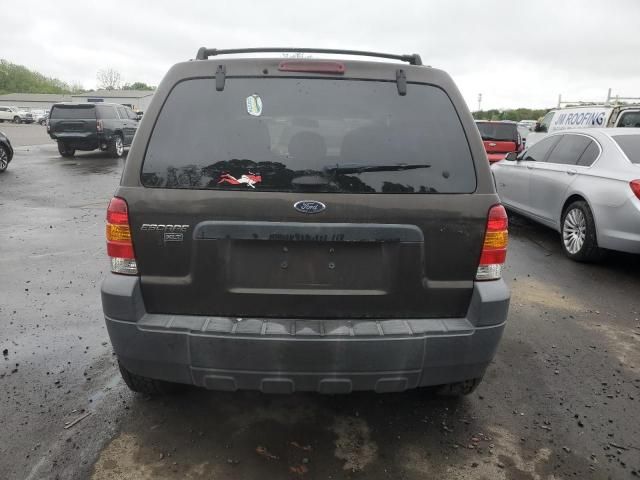 2007 Ford Escape XLT