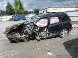 Subaru Forester 2.5x Premium salvage cars for sale: 2010 Subaru Forester 2.5X Premium