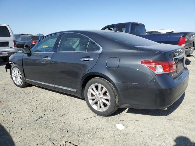 2010 Lexus ES 350