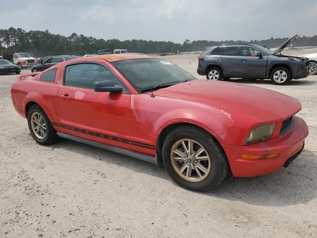 2005 Ford Mustang