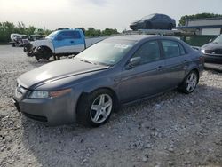 2006 Acura 3.2TL for sale in Wayland, MI