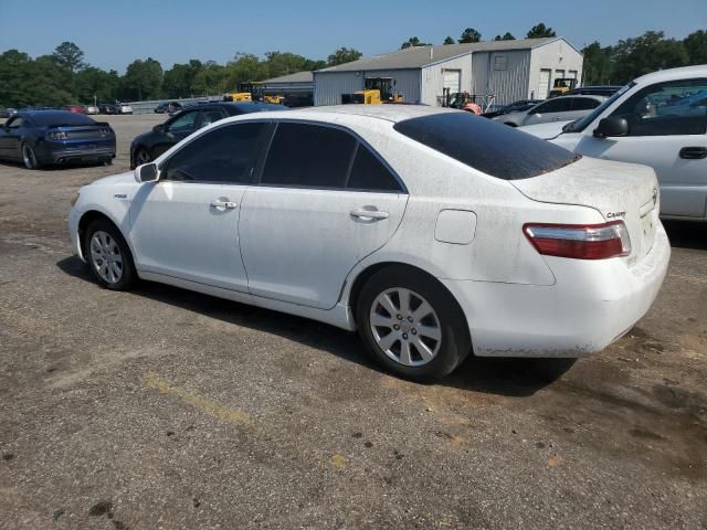 2009 Toyota Camry Hybrid