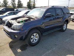 Salvage cars for sale from Copart Rancho Cucamonga, CA: 2008 Toyota 4runner SR5