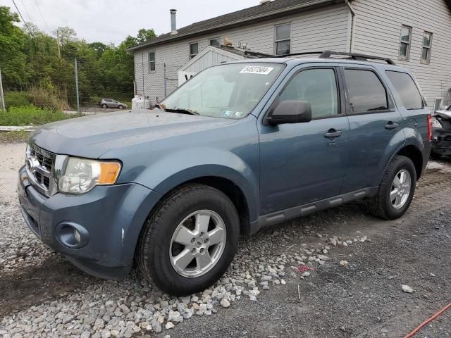 2011 Ford Escape XLT