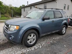 Salvage cars for sale from Copart York Haven, PA: 2011 Ford Escape XLT