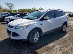 Vehiculos salvage en venta de Copart Des Moines, IA: 2013 Ford Escape SE