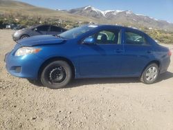 Vehiculos salvage en venta de Copart Reno, NV: 2010 Toyota Corolla Base