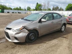 Toyota salvage cars for sale: 2014 Toyota Corolla L