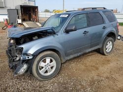 2012 Ford Escape XLT for sale in Bismarck, ND