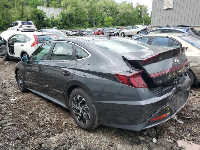 2021 Hyundai Sonata Hybrid