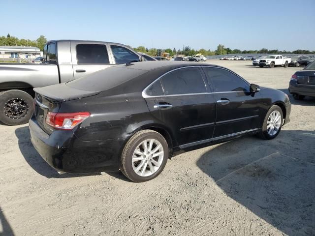 2011 Lexus ES 350