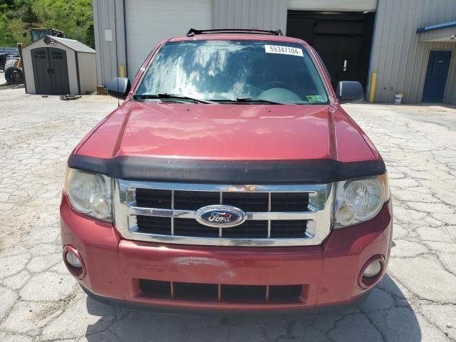 2012 Ford Escape XLT