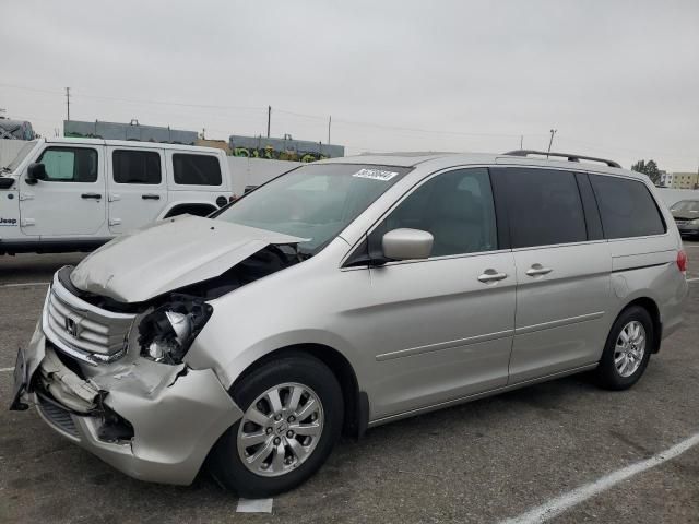 2008 Honda Odyssey EXL