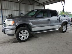 Ford salvage cars for sale: 2010 Ford F150 Supercrew