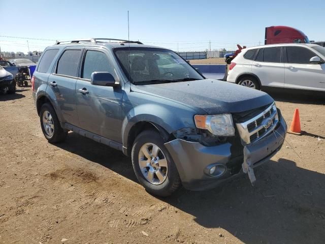 2011 Ford Escape Limited