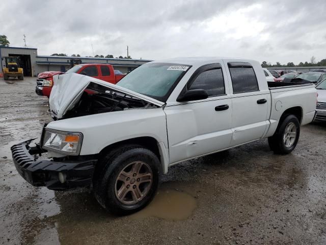 2010 Dodge Dakota SXT